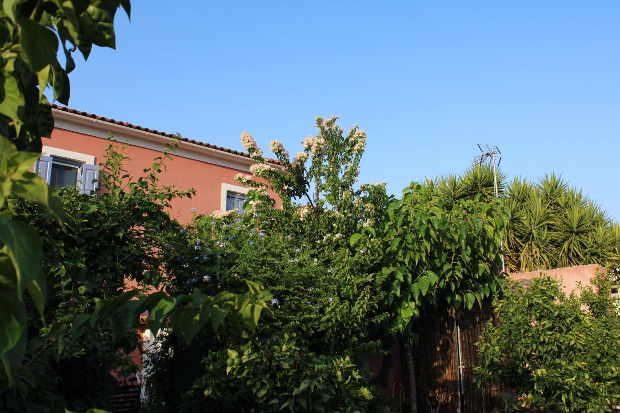 Locrihouse-Stylish Comfortable Home In Galaxidi ภายนอก รูปภาพ